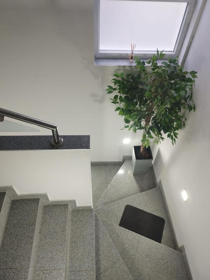 Apartman Lucano Bibinje Buitenkant foto